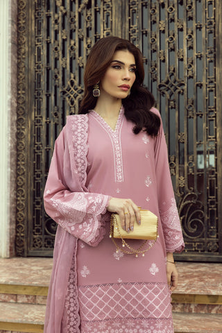 Eid Edition EMB RTW 25