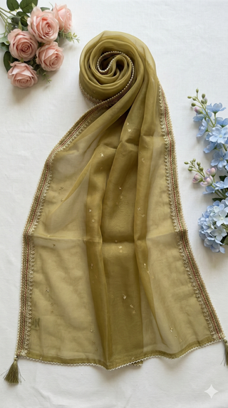 01 Piece Ready to wear Fancy Dupatta