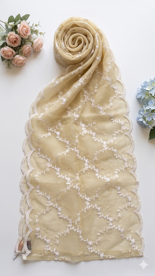 01 Piece Ready to wear Fancy Dupatta