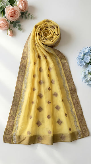 01 Piece Ready to wear Fancy Dupatta