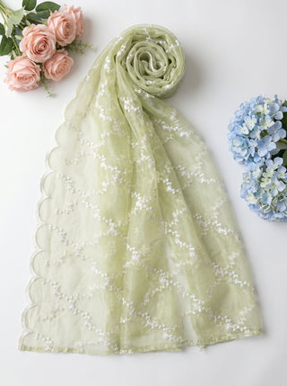 01 Piece Ready to wear Fancy Dupatta