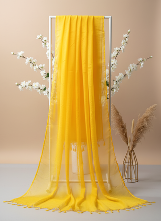 01 Piece Ready to wear Chiffon Dupatta