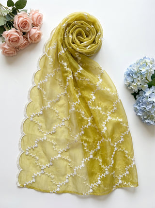 01 Piece Ready to wear Fancy Dupatta