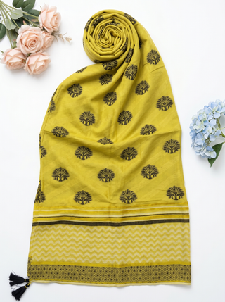 01 Piece Ready to wear Fancy Dupatta