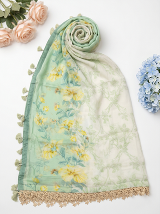 01 Piece Ready to wear Fancy Dupatta