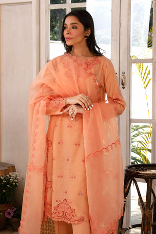 03 Piece Ready to wear Raw Silk Embroidered Collection