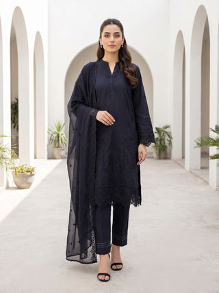 03 Piece Stitched Monochrome Embroidered Chiffon Dupatta