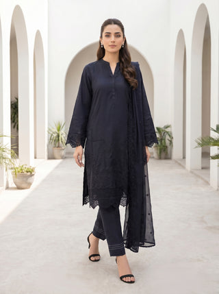 03 Piece Stitched Monochrome Embroidered Chiffon Dupatta