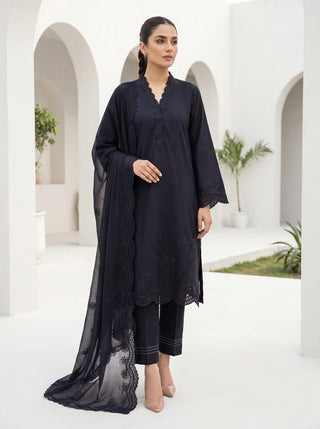 03 Piece Stitched Monochrome Embroidered Chiffon Dupatta