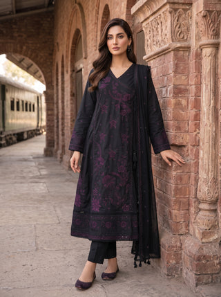 03 Piece Embroidered with Chiffon Dupatta Ready to wear Luckhnowi Collection
