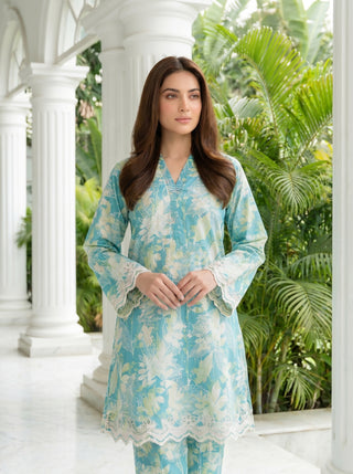 02 Piece Stitched Printed Embroidered Lawn