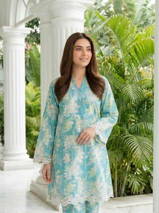 02 Piece Stitched Printed Embroidered Lawn