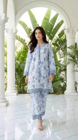 02 Piece Stitched Printed Embroidered Lawn
