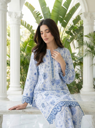 02 Piece Stitched Printed Embroidered Lawn