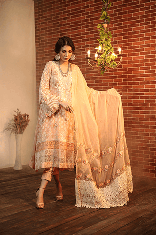 3 Piece Embroidered Dyed Chiffon