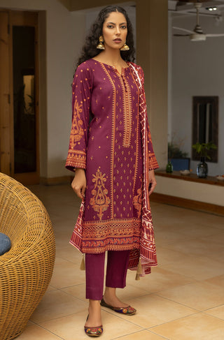 3 Piece Ready to Wear Embroidered Cottel