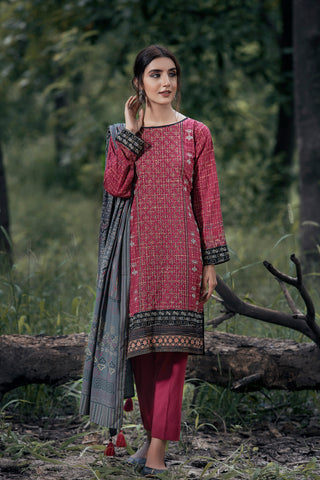 3 Piece Ready to Wear Embroidered Dareechay